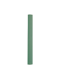 P11003 EpsiPoint fin